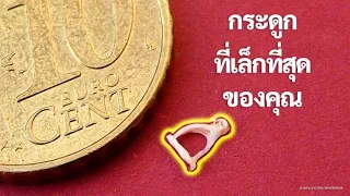 การเดินทาง 2 มิติผ่านกระดูกทั้งหมดของคุณ