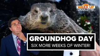 Groundhog Day: Punxsutawney Phil predicts more winter #WakeUpCLT To Go