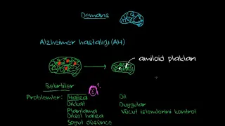 Alzheimer Hastalığı ve Korsakoff Sendromu (Psikoloji / Akıl Sağlığı) (Sağlık Bilgisi ve Tıp)
