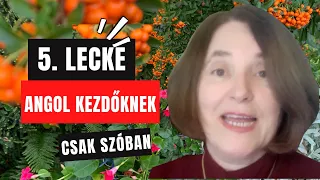 Angol kezdőknek | 5. lecke  |  Present simple  | Itt a tanuló beszél!