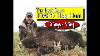 THE BEST DAMN IDAHO HOG HUNT: Full Movie, 2018