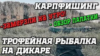 #КАРПФИШИНГ * ТРОФЕЙНАЯ РЫБАЛКА 2019