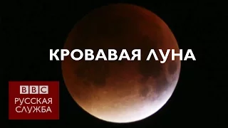 "Кровавая Луна": когда затмение совпадает с суперлунием - BBC Russian