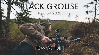 BLACK GROUSE HUNTING (TOPPJAKT 2020) - HOW WE HUNT