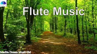 Flute Relax music with Nature forest, flute music relaxing, flute music solo Music for relaxing.