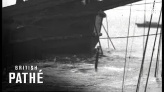 Truculent Returns To Port (1950)