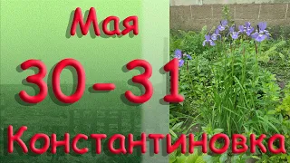 30 - 31 мая Константиновка Донецкая область Донбасс