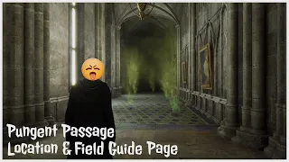 Hogwarts Legacy Pungent Passage Location And Field Guide Page