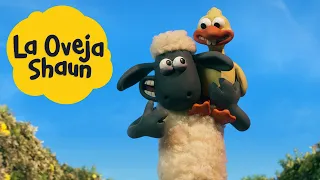 El Vuelo de la Oca - La Oveja Shaun Temporada 6 [Shaun the Sheep S6]