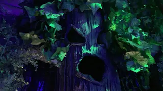 I built a haunted forest in my garage for Halloween