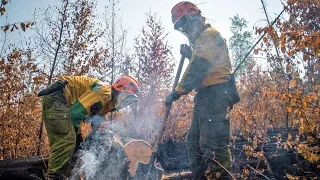 В Югре пожарные локализовали основные лесные пожары