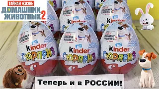 Kinder Pets 🐶 2 Сюрприз | Киндер ТАЙНАЯ ЖИЗНЬ ДОМАШНИХ ЖИВОТНЫХ 2 🐈🐕 Surprise | НОВИНКА 2020