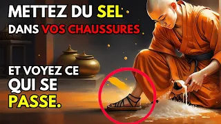 Mettre du sel sur ses chaussures avant de sortir, c'est (INCROYABLE) | Zen Story