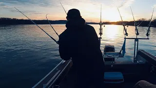 Love it when they smash that rod (Blue Catfish)