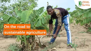 Burkina Faso : On the road to sustainable agriculture