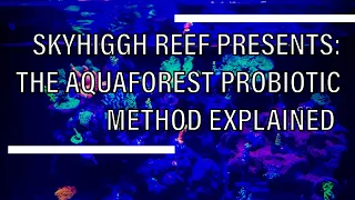 SkyHiggh Reef Tank Update: AquaForest Probiotic Method Explained