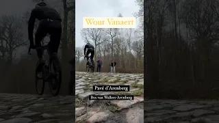 Wout Vanaert Paris-Roubaix 2023: Pavé d’Arenberg - Bos van Wallers