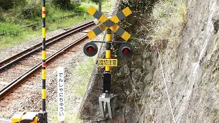 【踏切】箱根登山鉄道　警報機が小さい踏切 (Railroad crossing in Japan)