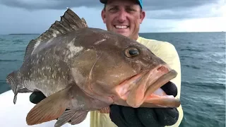 No Hook, No Line!!! Bare Handed Grouper Catch Clean Cook! Tasty Tuesday!