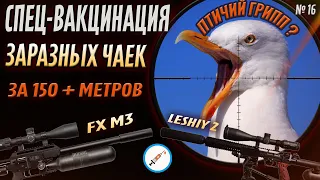 Санитарный отстрел Заразных Чаек. № 16. Леший 2 + FX Impact M3. Jack Hunter.