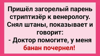 Загорелый Стриптизер на Приеме у Венеролога! Сборник Смешных Свежих Жизненных Анекдотов! Позитив!