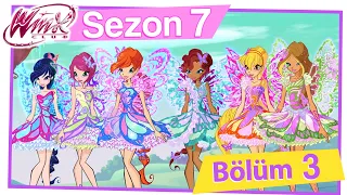 Winx Club - 7. Sezon 3. Bölüm - Butterflix [TAM BÖLÜM]