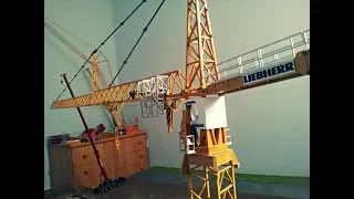 Liebherr 630 EC-H 40 tower crane assembly with Terex ac 500