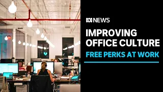 How can workplaces get employees back into the office? | ABC News