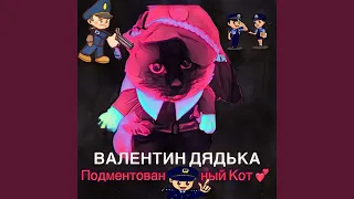 Подментованный кот