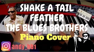 The Blues Brothers Feat. Ray Charles - Shake A Tail Feather / Piano Cover