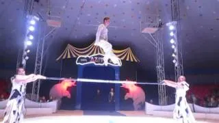 Цирк "Дзиво" Могилев 28 июня 2014г