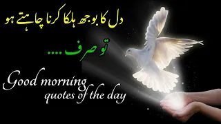 🌷 Good morning WhatsApp status//Subah Bakhair zindagi//Islamic Quotes Mehekte Alfaz