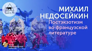 Михаил Николаевич Недосейкин «Постэкзотизм во французской литературе: между Уэльбеком и Володиным».