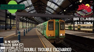 Train Sim World 2 IN 4K : Double Trouble (Scenario) BR Class 313 EMU / East Coastway