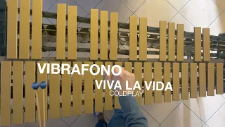 "Viva la vida" Coldplay - Vibrafono - MUSICA D'INSIEME