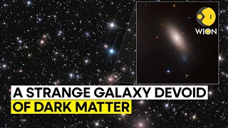 A galaxy without dark matter? The discovery leaves scientists baffled | WION Originals