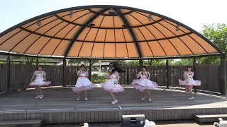 「FINAL RAIN」 あかぎ団×オレンジツーマンライブ＠前橋公園 2部 2024/5/3