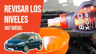 Cómo revisar los niveles Peugeot 307 2.0 HDI 📏