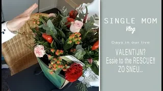 #Vlog 52 Single Mom ll Valentijn?? ll Essie to the rescue!!! ll Arme droppie....