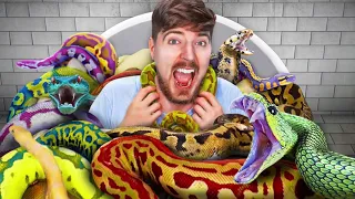 Would You Sit In Snakes For $10,00