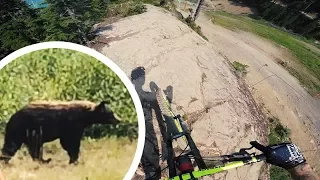 Dämonen besiegen und Teddybär-Besuch im Whistler Bikepark - Kanada Trip | Fabio Schäfer Vlog #92