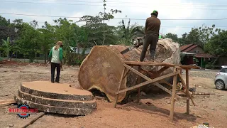 Amazing Fastest Skill Cutting Big Tree Chainsaw Machine, Heavy Longest Chainsaw Bar Ever