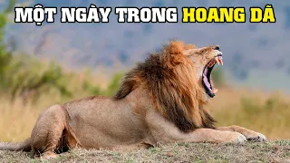 24 Giờ Hoang Dã | Khám Phá Thế Giới Động Vật Hoang Dã