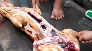 Cooking dog meat full process|Nagaland food.