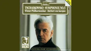 Tchaikovsky: Symphony No. 5 in E Minor, Op. 64 - I. Andante – Allegro con anima