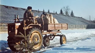 Выращивание цветов в закрытом грунте, 1973