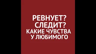 💕 ✨РЕВНУЕТ? СЛЕДИТ? Что на сердце у любимого #чтоондумаетобомне #картытаро