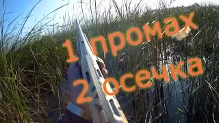 ОХОТА НА УТКУ.  1- й ПРОМАХ, 2-й ОСЕЧКА !..  Duck hunt.