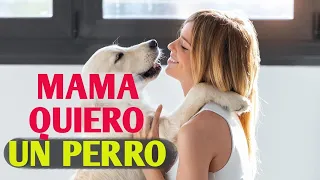 Cómo hacer que mi madre me compre un perro