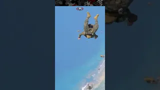 Force Recon Marines Free Falling